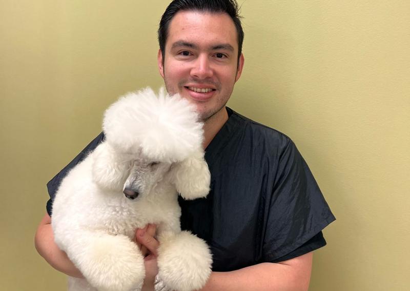 Windermere animal hospital